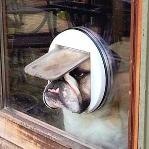 Meet your Posher, Tony